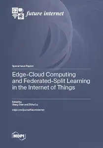 Edge–Cloud Computing and Federated–Split Learning in the Internet of Things