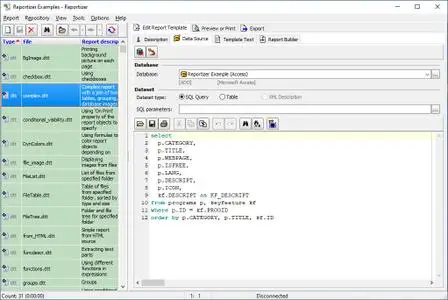 Reportizer 6.5.9.213 Multilingual