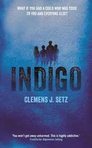 Indigo A Novel