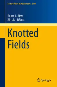 Knotted Fields (Lecture Notes in Mathematics, 2344)