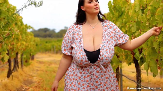 Maria Milkers - Vineyard