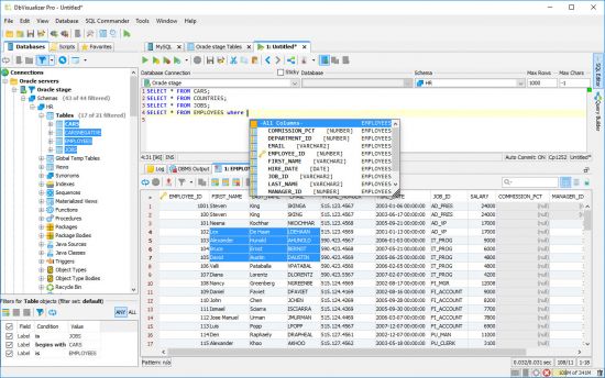 DbVisualizer Pro 24.3.4 (x64)
