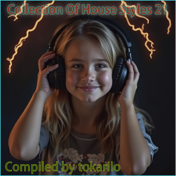 VA - Collection Of House Styles 21 [Compiled by tokarilo] (2025) MP3