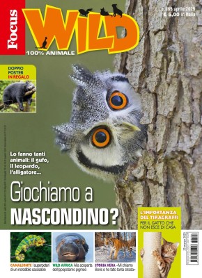 Focus Wild - Aprile 2025