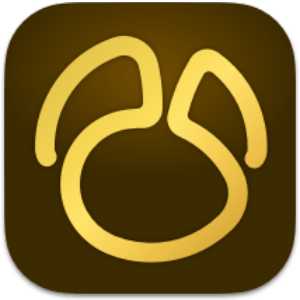 Navicat Premium 17.2.4 macOS