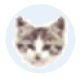[Image: 48235f7b73743d7872b9c63557f9ea48.webp]