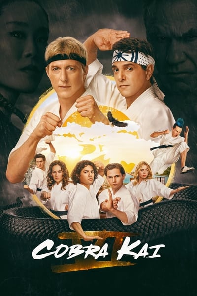 Cobra Kai S05E05 Extreme Measures 1080p HEVC x265-MeGusta