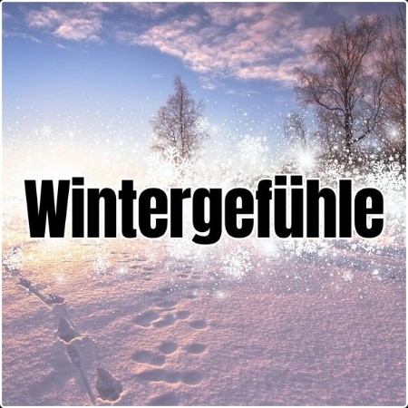 Various Artists - Wintergefühle (2025) Mp3 320kbps