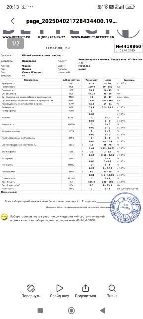 Изображение
