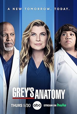 Greys Anatomy S15E13 German DL 1080p WEB h264-OHD