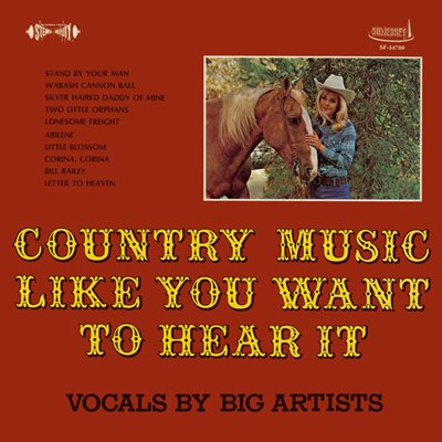 VA - Country Music Like You Want to Hear It [2016-2025 Remaster from the Original Somerset Tapes, 24-bit Hi-Res] (2025) FLAC