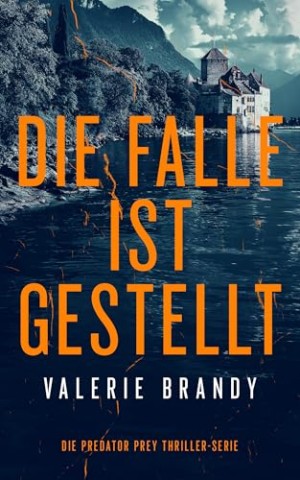 Cover: Valerie Brandy - Die Falle ist gestellt