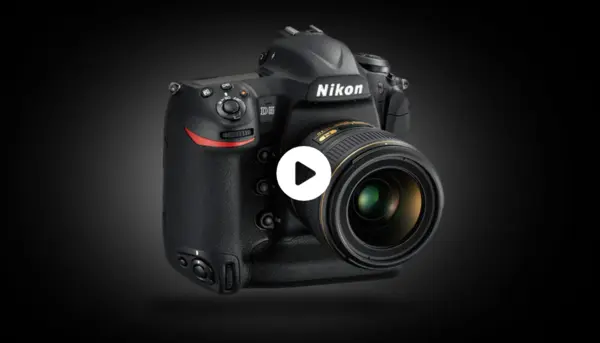 KelbyOne – Nikon D5 Camera Essentials by Larry Becker