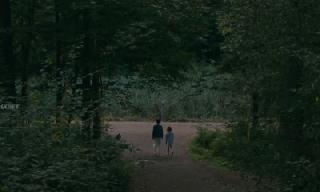   (2023)