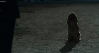   (2024)