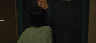   (2024)