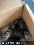 IMG_5243.jpeg
