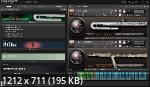 Best Service - Chris Hein - Orchestral Winds Vol. 5 Deep Flutes (KONTAKT) - сэмплы духовых Kontakt