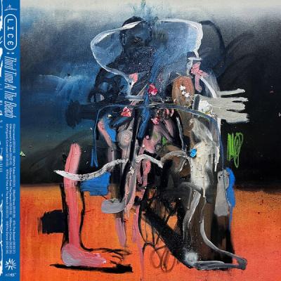 Lice - Third Time at the Beach (2024) [FLAC 24B-44 1kHz]