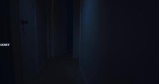   (2024)