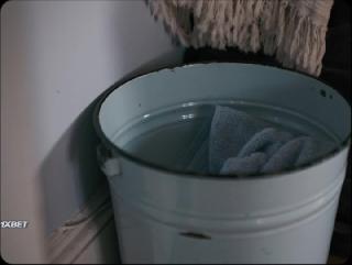     (2023)