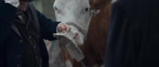    (2024)