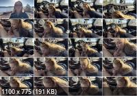 Onlyfans - Littlepolishangel 10 Car Blowjob Cum Swallow Ppv Video 4c (HD/720p/76.7 MB)