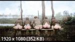      | They Shall Not Grow Old (2018/BDRip/Blu-Ray Remux/1080p)