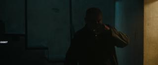  (2024)