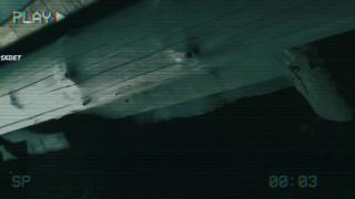     (2022)