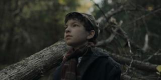 ,     / The Boy in the Woods (2023/WEB-DL/WEB-DLRip)