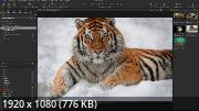 Capture One 23 Enterprise 16.5.0.2494 RePack by KpoJIuK (x64) (2024) Multi/Rus