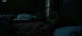   (2024)