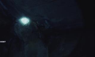  (2024)