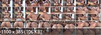 InTheCrack - #1467 Lexi Layo (FullHD/1080p/1.24 GB)