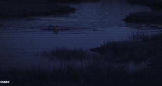  (2022)