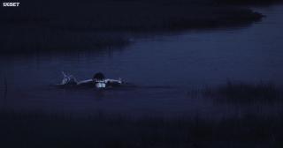 (2022)