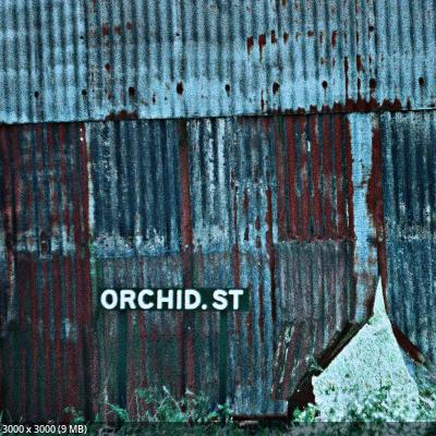 Arimea - Orchid Street (EP) (2024)