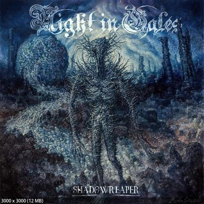 Night In Gales – Shadowreaper (2024)