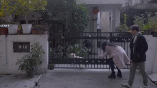   (2023)