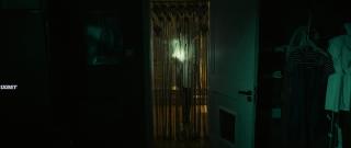   (2023)