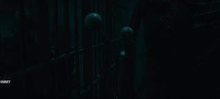    (2023)