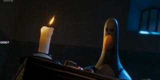   :    (2024)