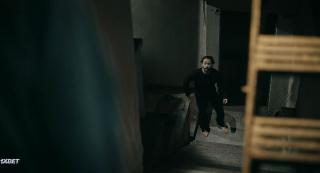  7 (2024)