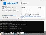 Windows 11 Pro