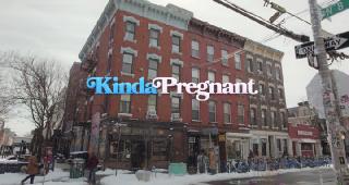    / Kinda Pregnant (2025/WEB-DL/WEB-DLRip)