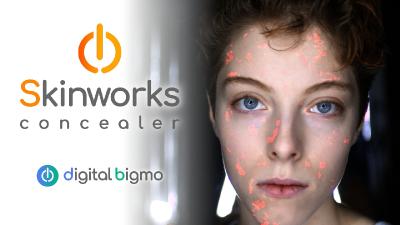 digitalbigmo - Skinworks 2024.11.00