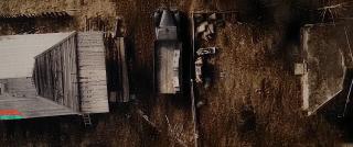    (2024)