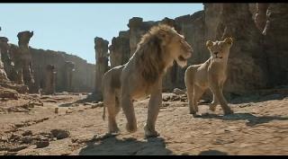 :   / Mufasa: The Lion King (2024/WEB-DL/WEB-DLRip)