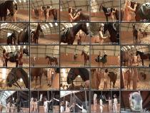 [Image: 973319d53fea56e11abdffa23faf2a2f.jpeg]